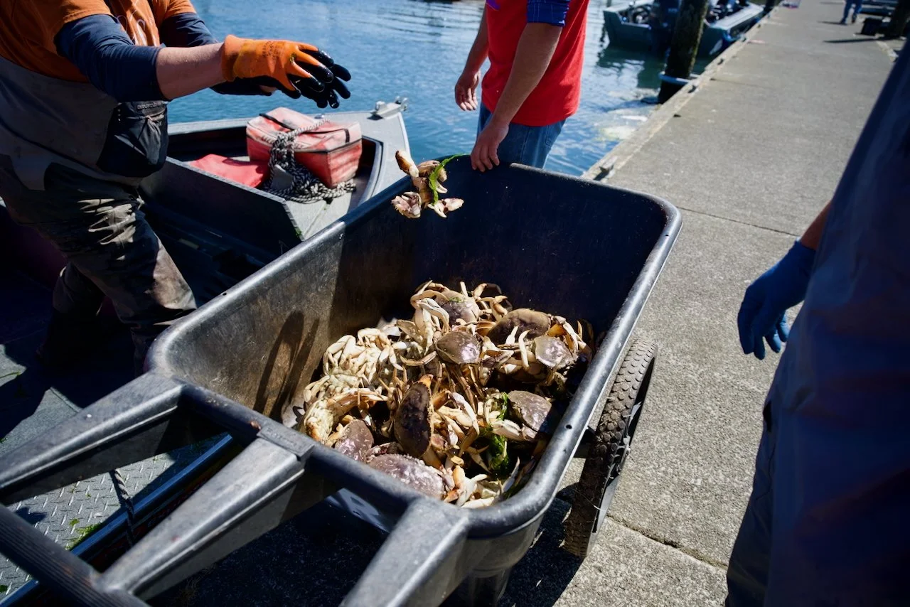 _DSC1580.jpeg (Copy)