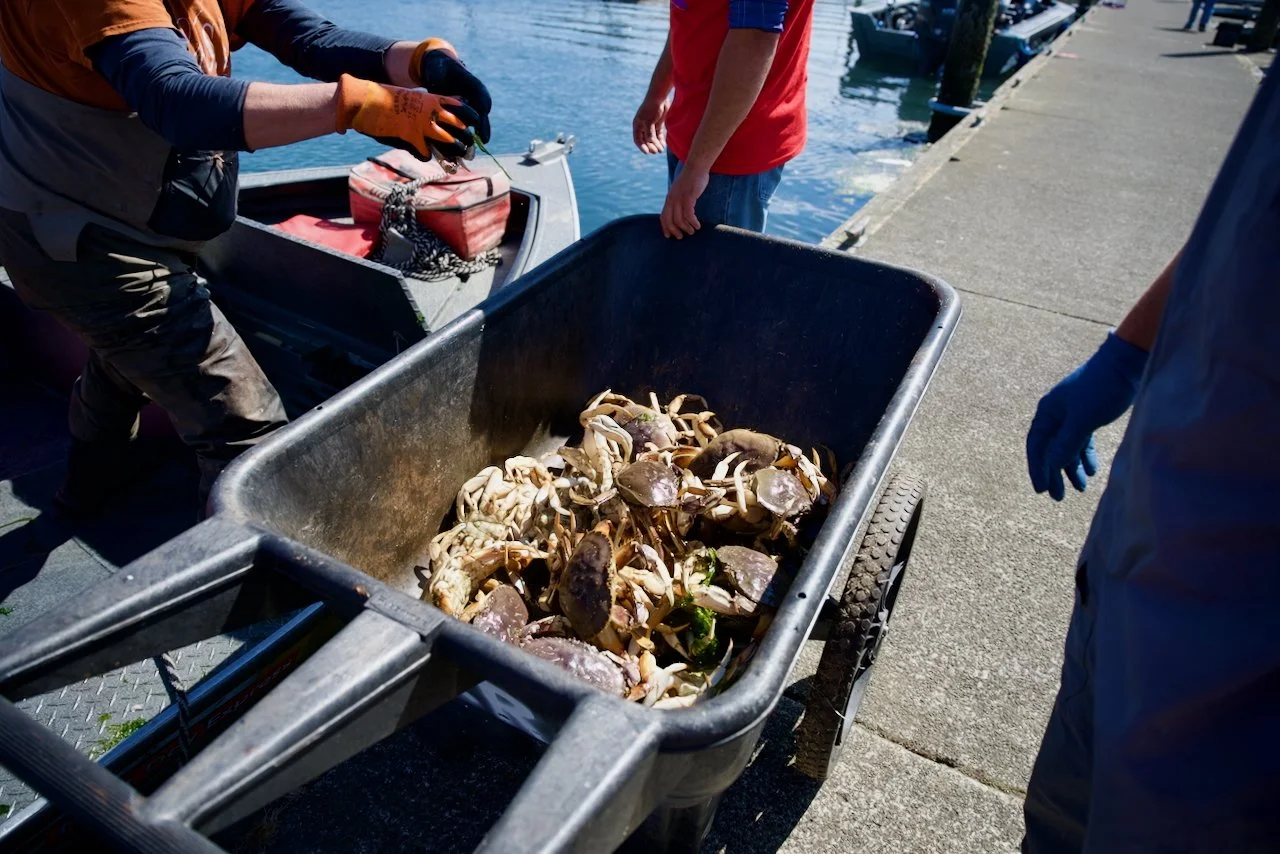 _DSC1578.jpeg (Copy)