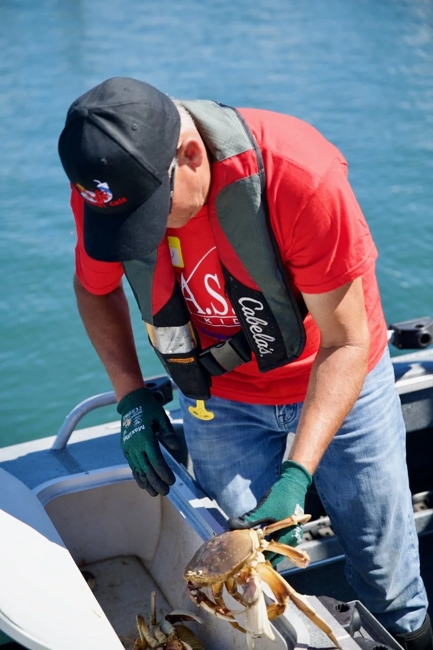 _DSC1599.jpeg (Copy)