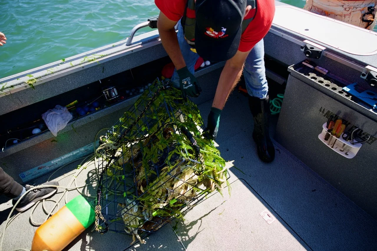 _DSC1642.jpeg (Copy)