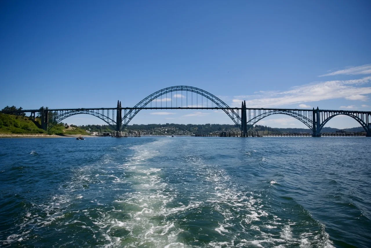 _DSC1653.jpeg (Copy)