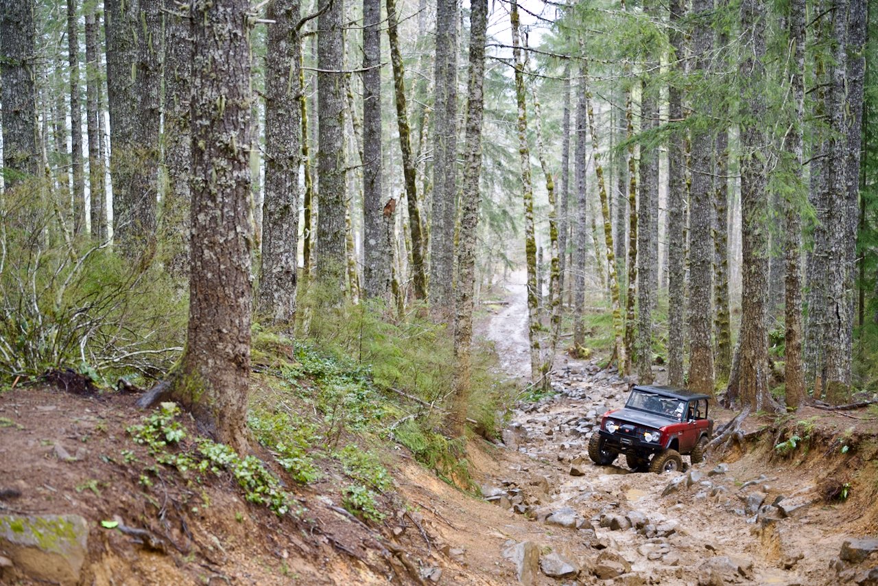 DSC_0897.jpeg (Copy)