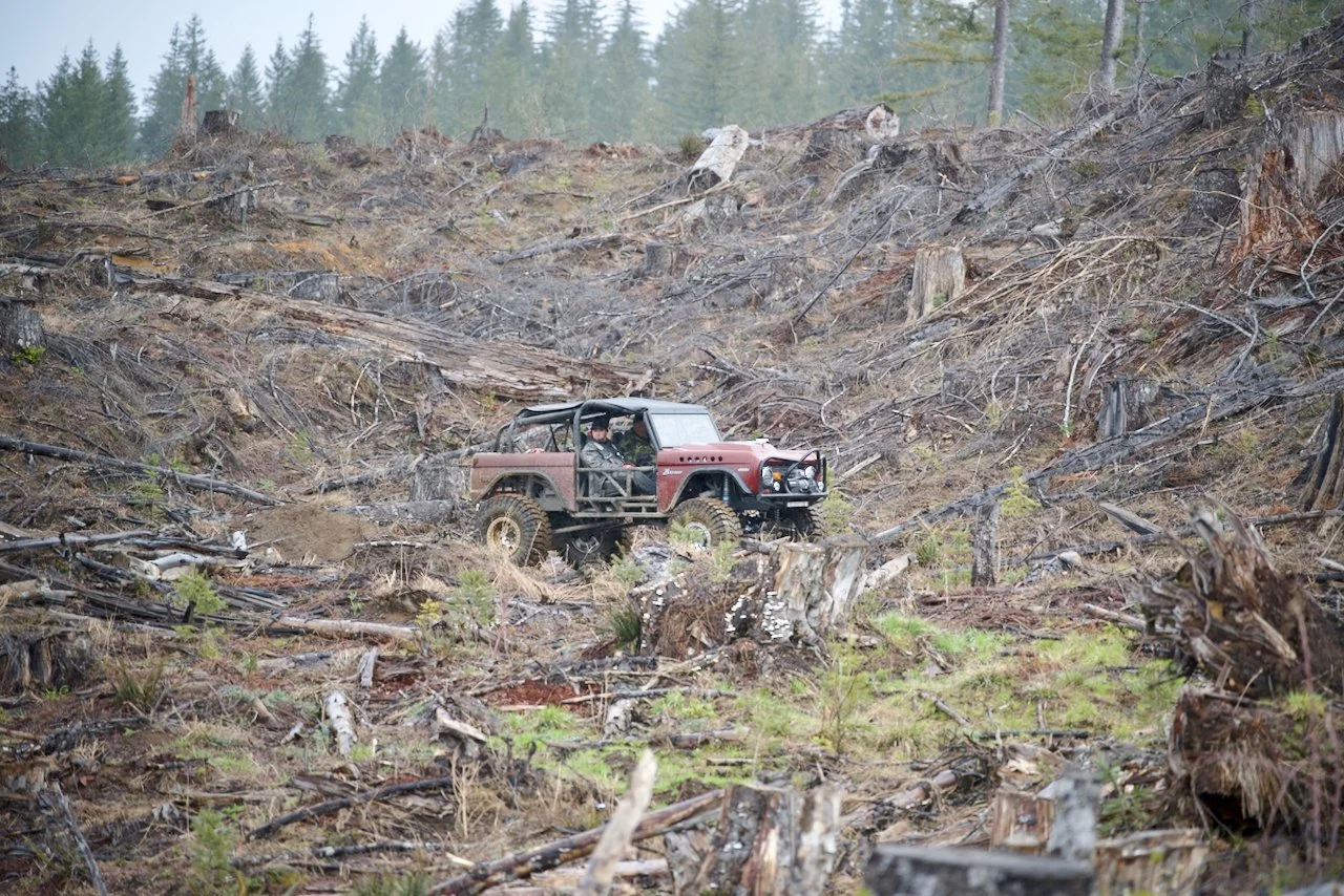 DSC_0814.jpeg (Copy)