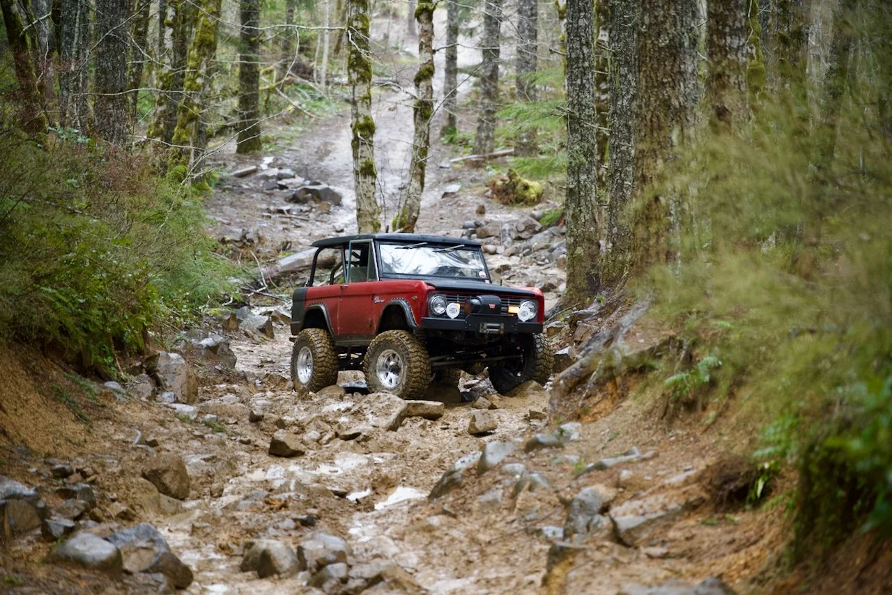 DSC_0873.jpeg (Copy)