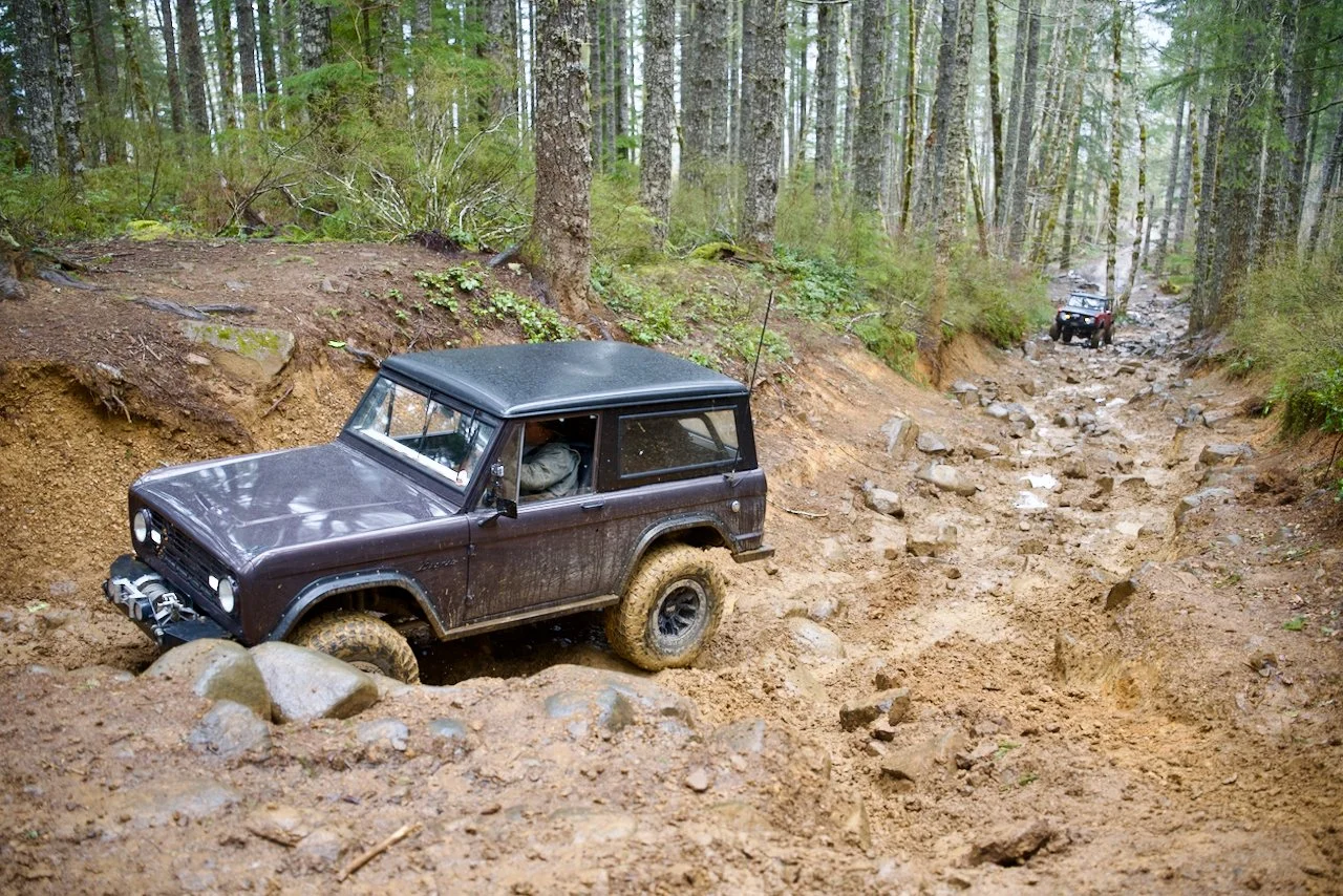 DSC_0868.jpeg (Copy)