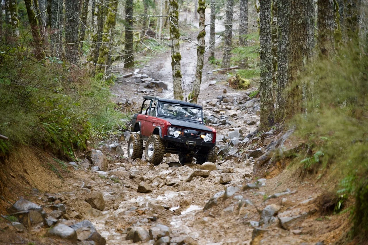 DSC_0871.jpeg (Copy)