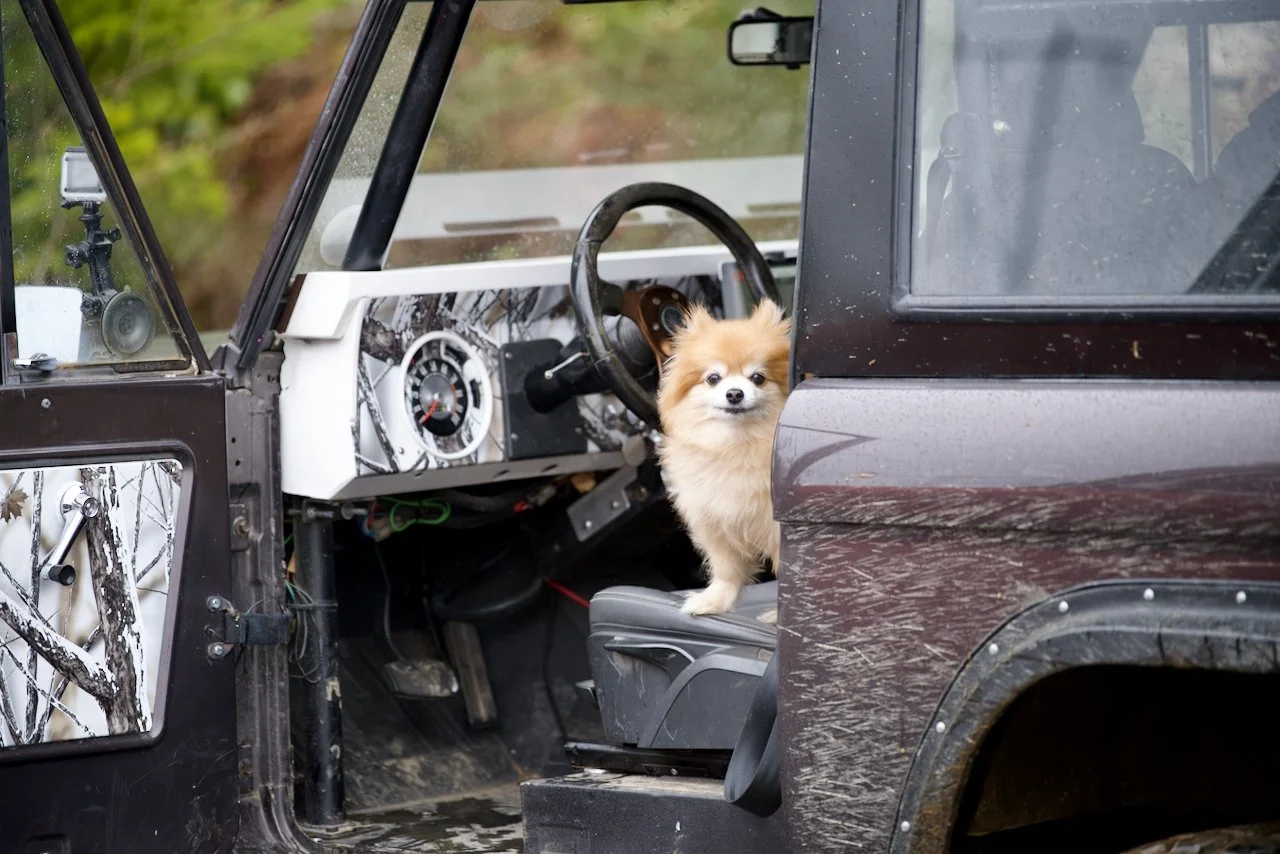 DSC_0774.jpeg (Copy)