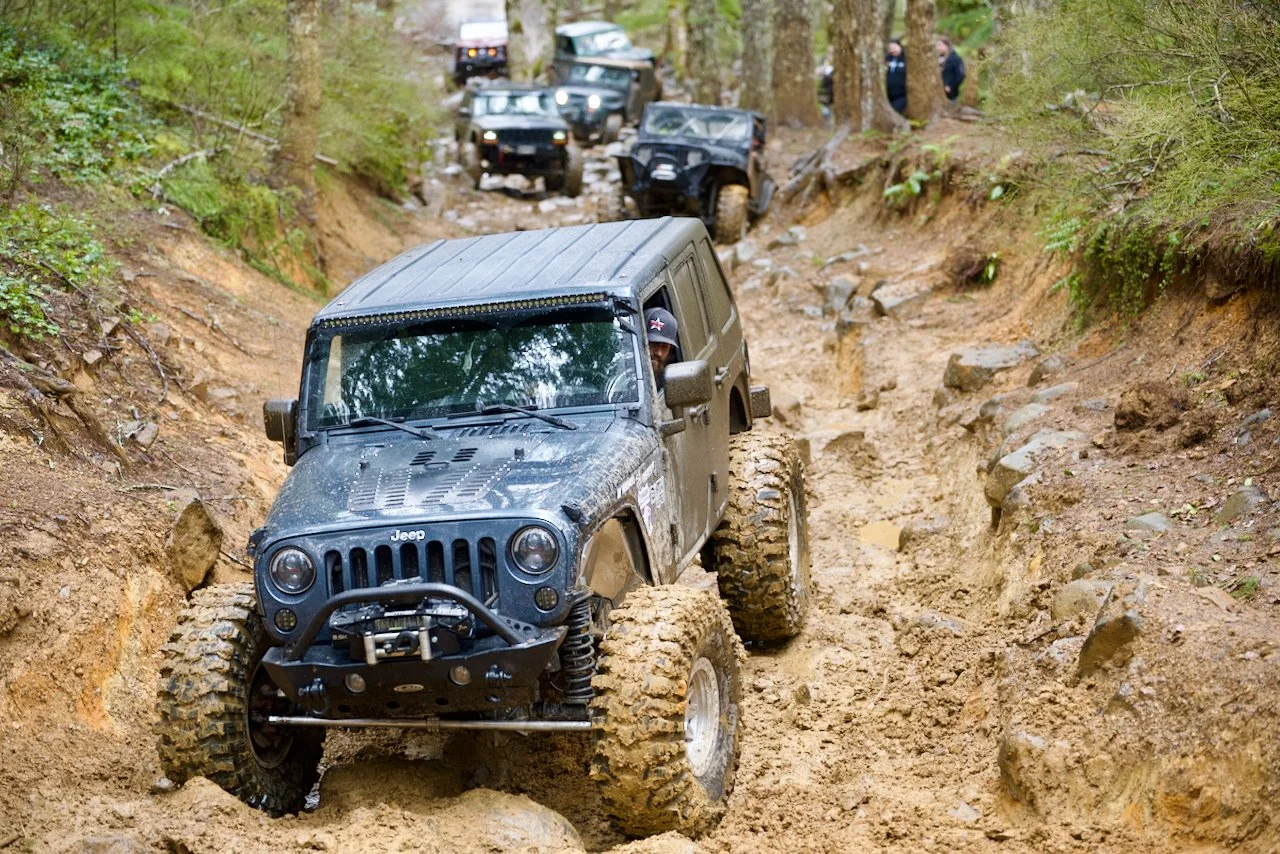 DSC_0931.jpeg (Copy)