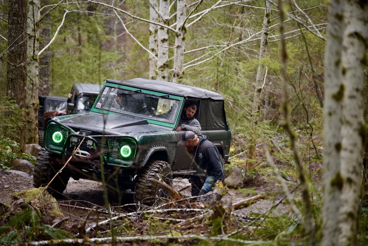 DSC_0786.jpeg (Copy)