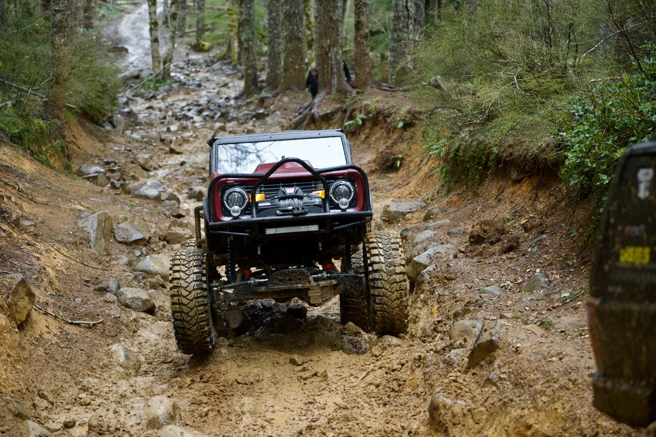 DSC_1024.jpeg (Copy)