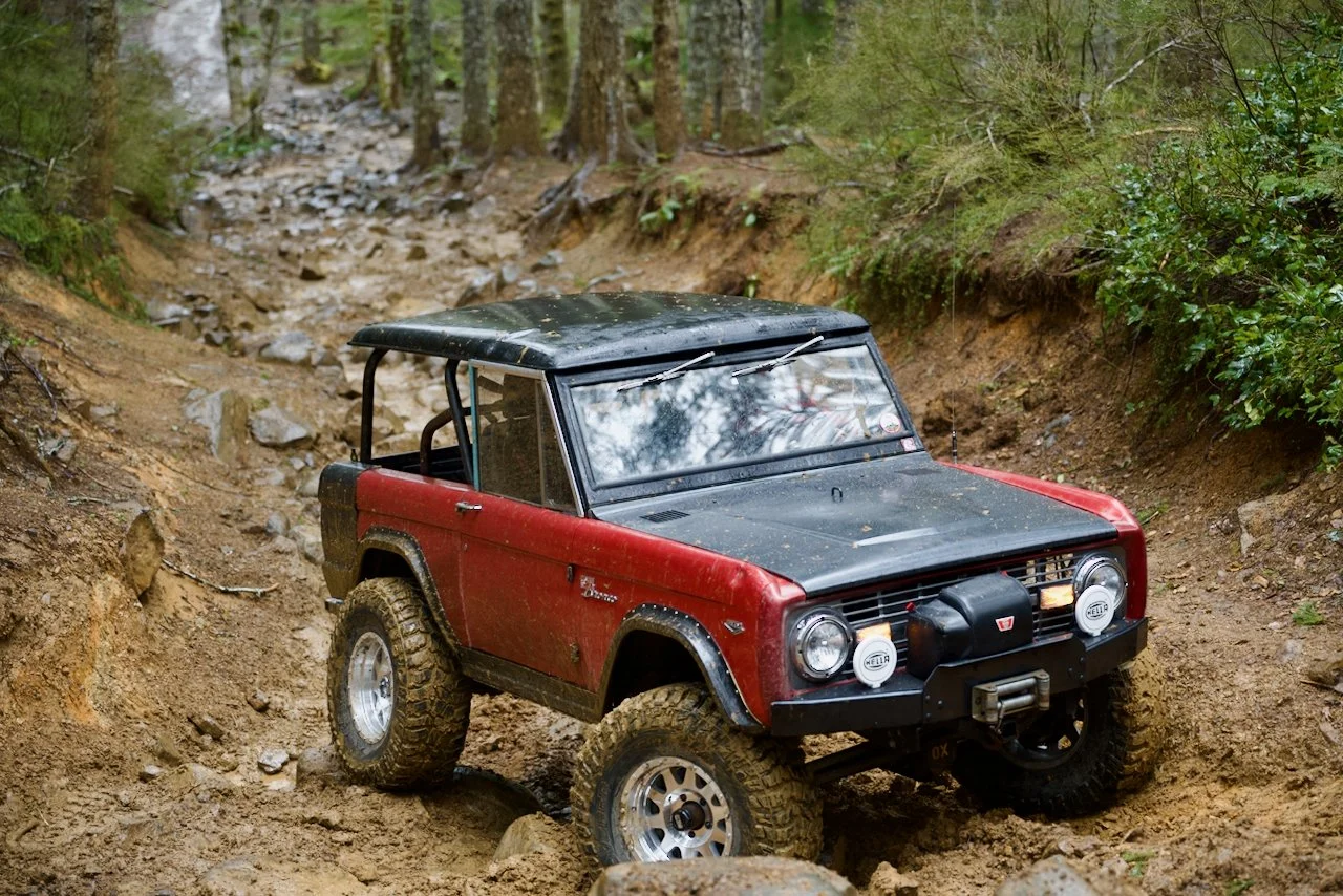 DSC_0899.jpeg (Copy)