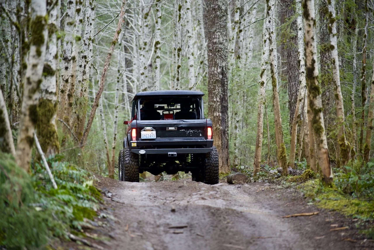 DSC_0784.jpeg (Copy)