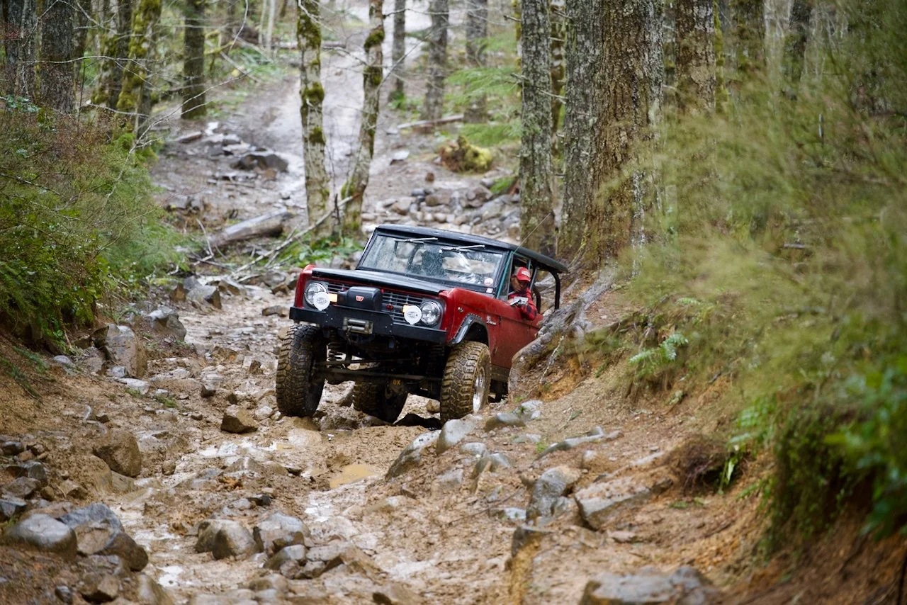 DSC_0885.jpeg (Copy)