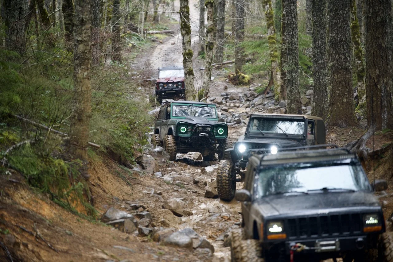 DSC_0951.jpeg (Copy)