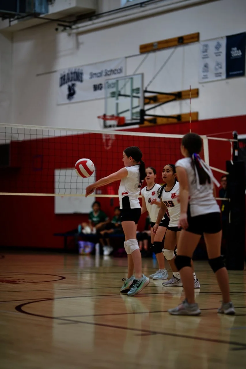 DSC_2528.jpeg (Copy)