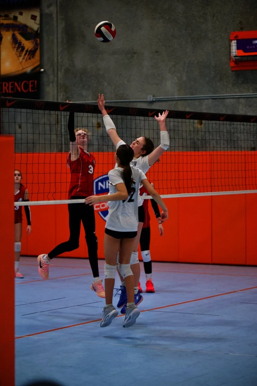 DSC_2688.jpeg (Copy)