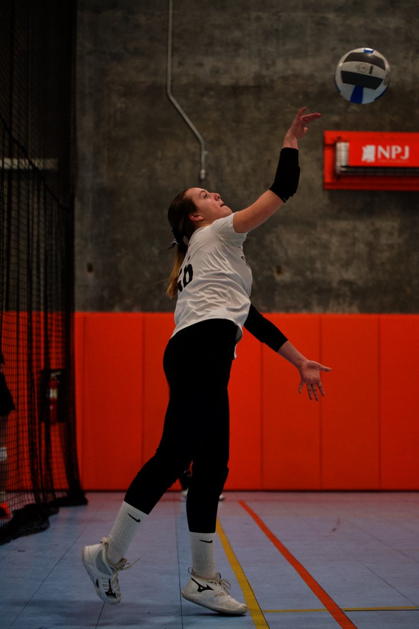 DSC_2219.jpeg (Copy)