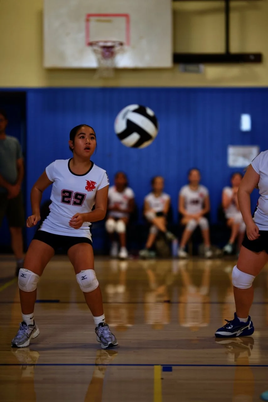 DSC_2223.jpeg (Copy)