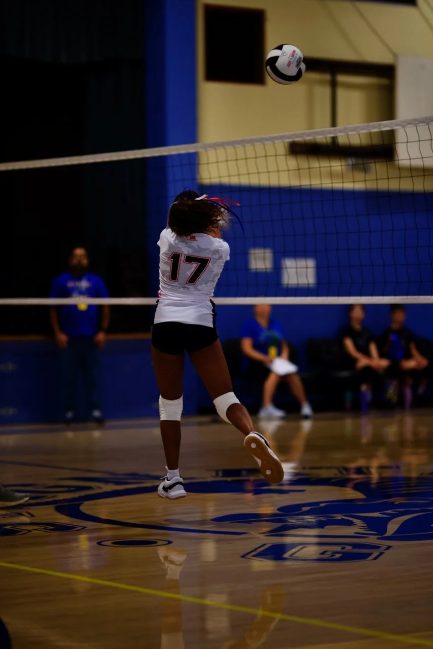 DSC_2018.jpeg (Copy)