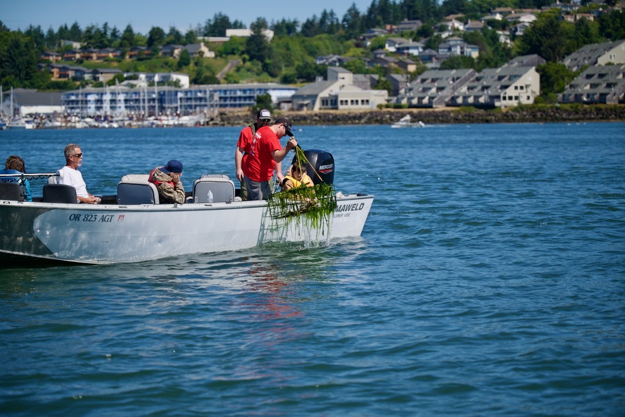 DSC_4906.jpeg (Copy)