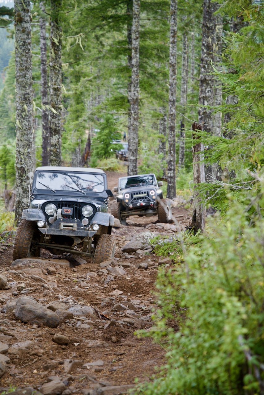 DSC_2556.jpeg (Copy)