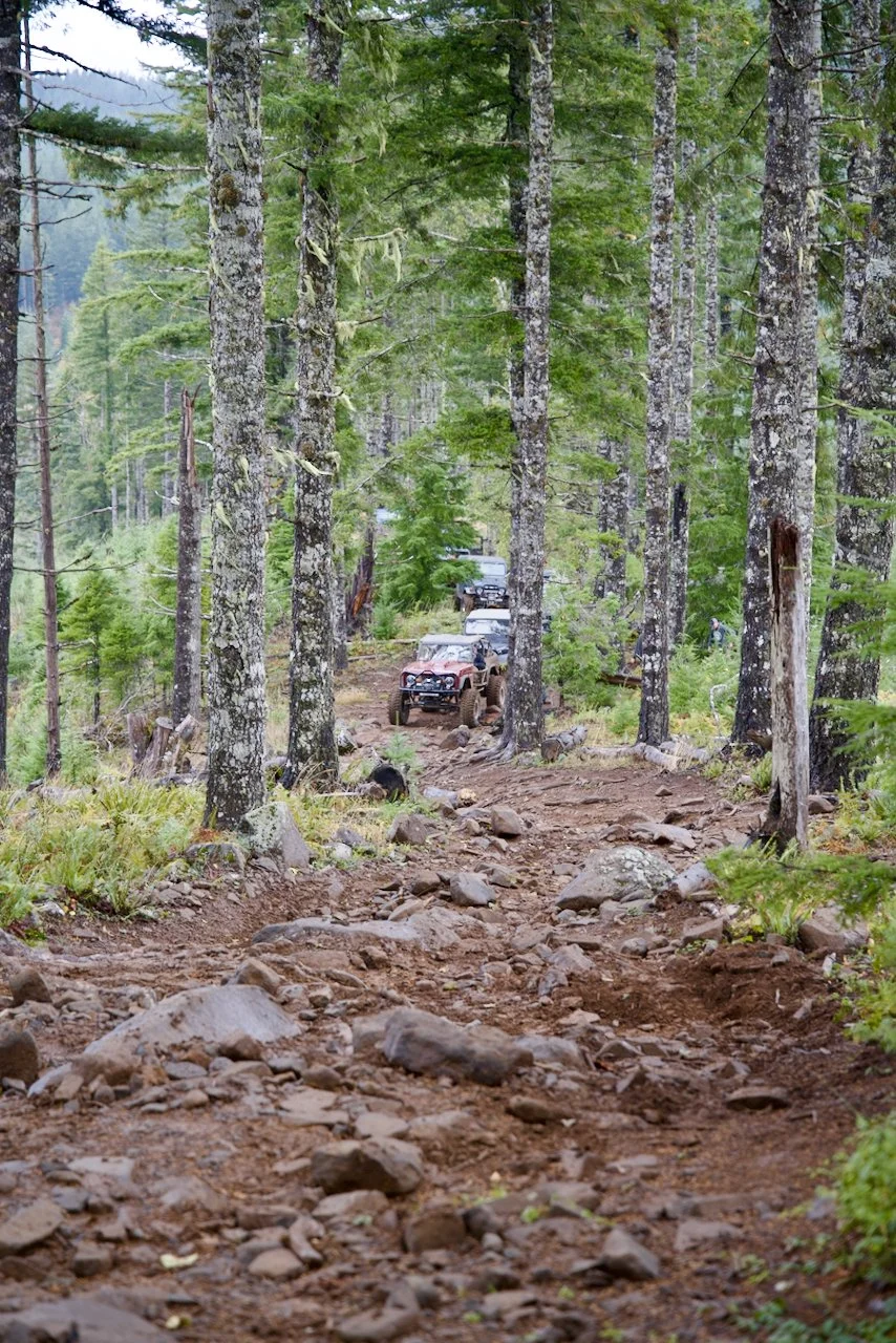 DSC_2540.jpeg (Copy)