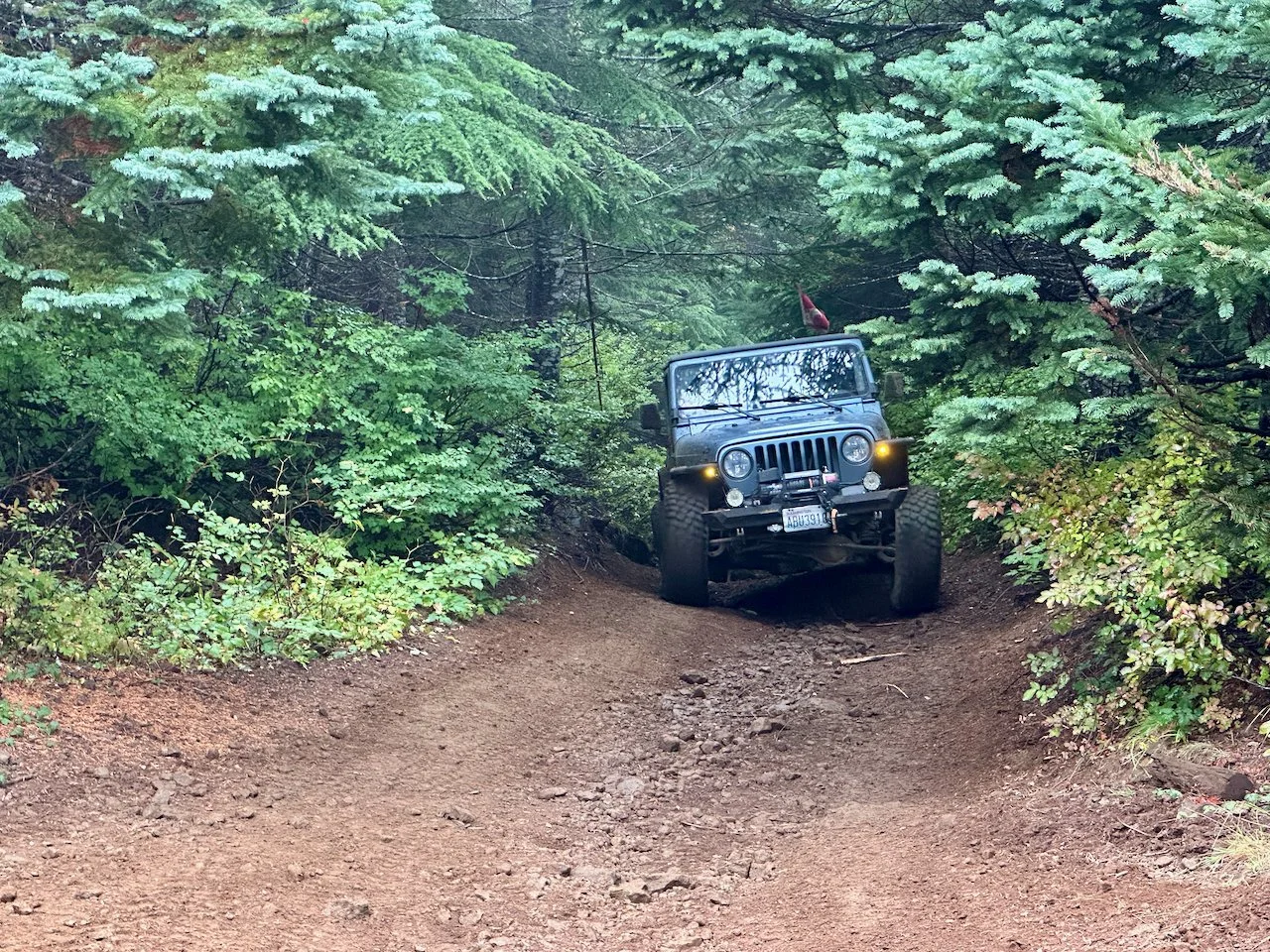 IMG_1962.jpeg (Copy)