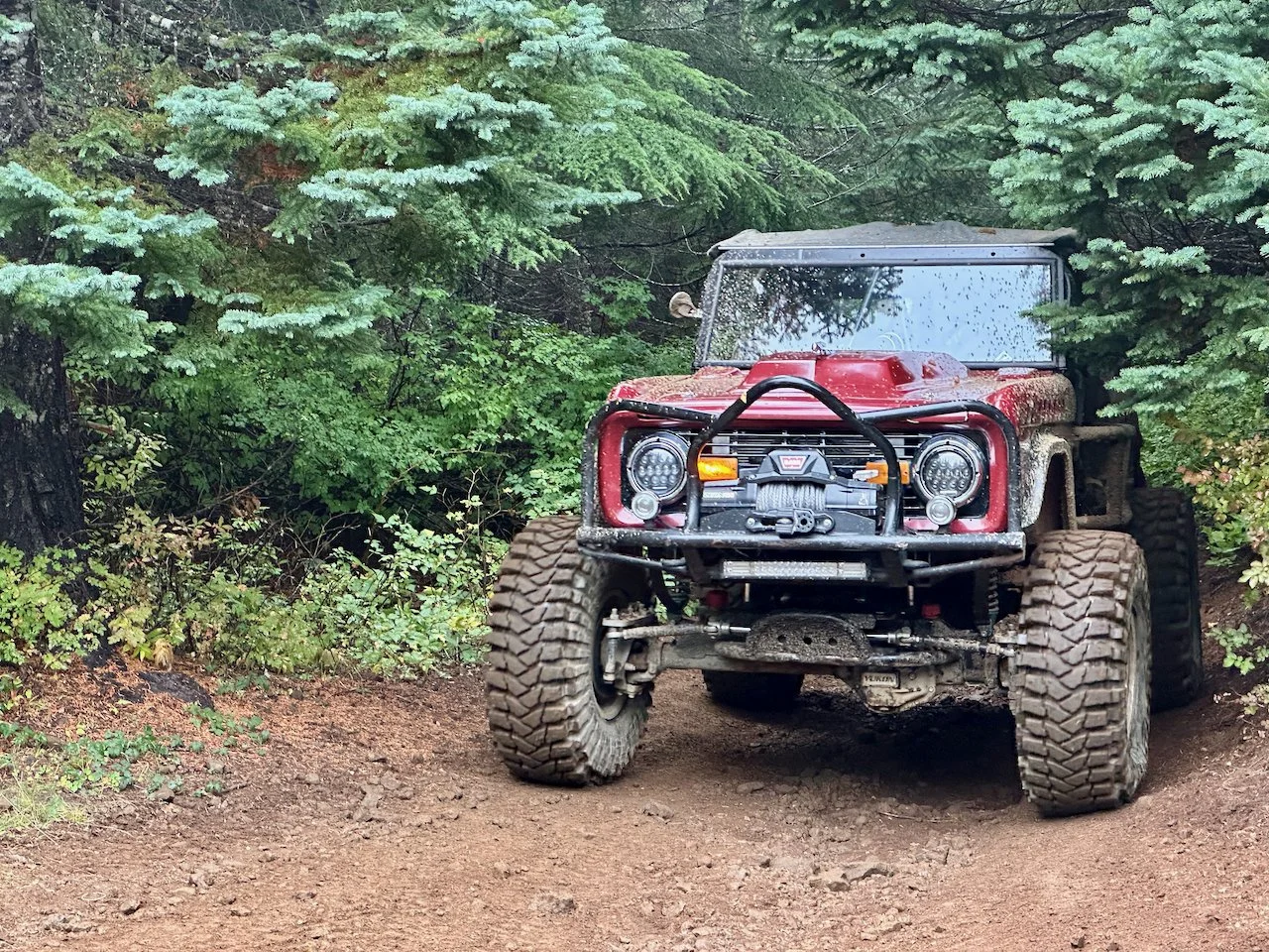 IMG_1964.jpeg (Copy)