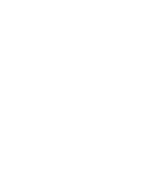 Outline drawing of a butterfly wing.