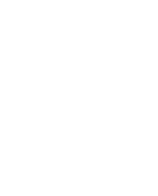 Outline of a butterfly wing with details of veins on a black background