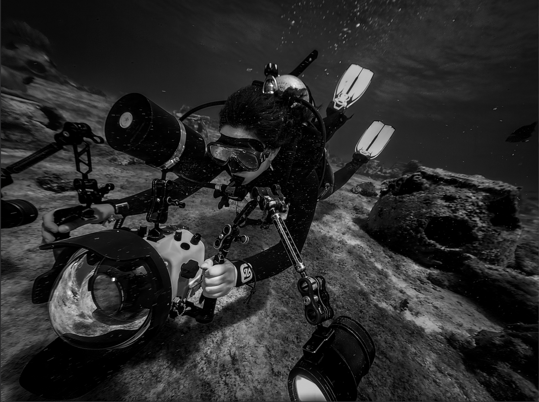 Screenshot 2026-02-24 at 2.02.05 PM.png