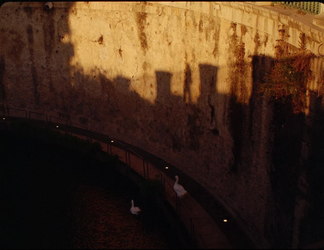 WhatsApp Image 2026-02-25 at 00.50.45 (1).jpeg