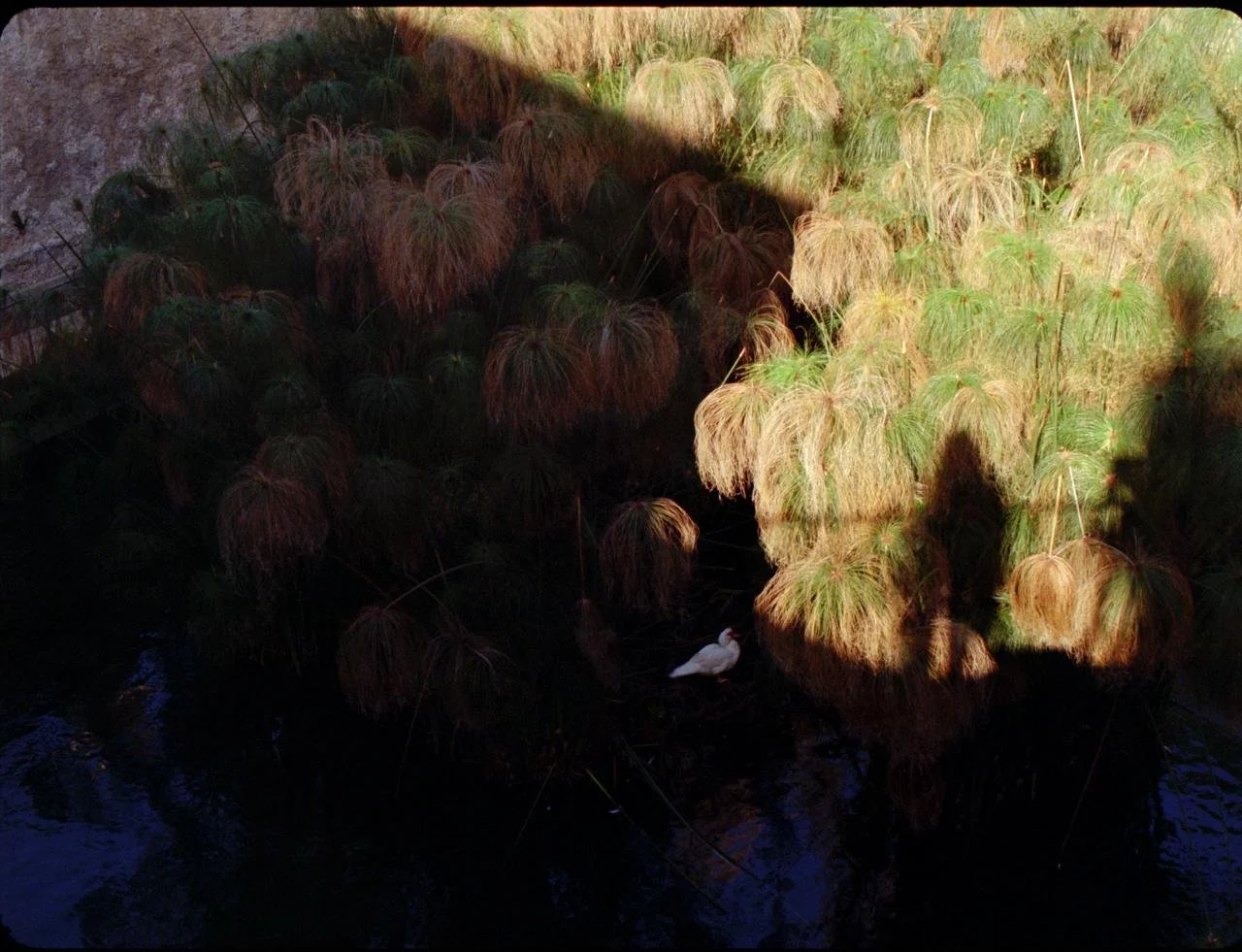 WhatsApp Image 2026-02-25 at 00.50.45.jpeg