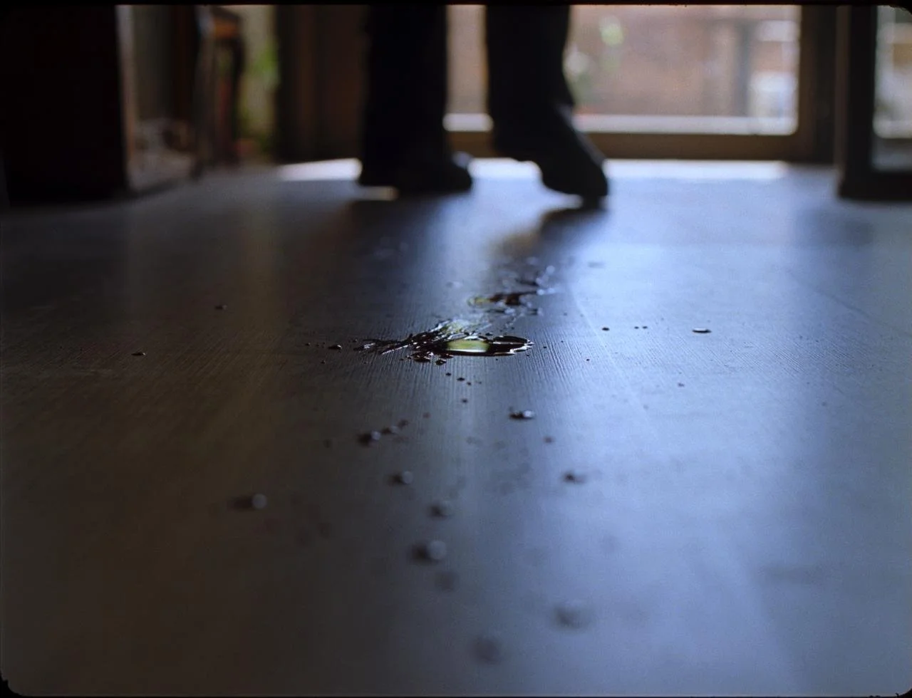 WhatsApp Image 2026-02-25 at 00.50.46.jpeg