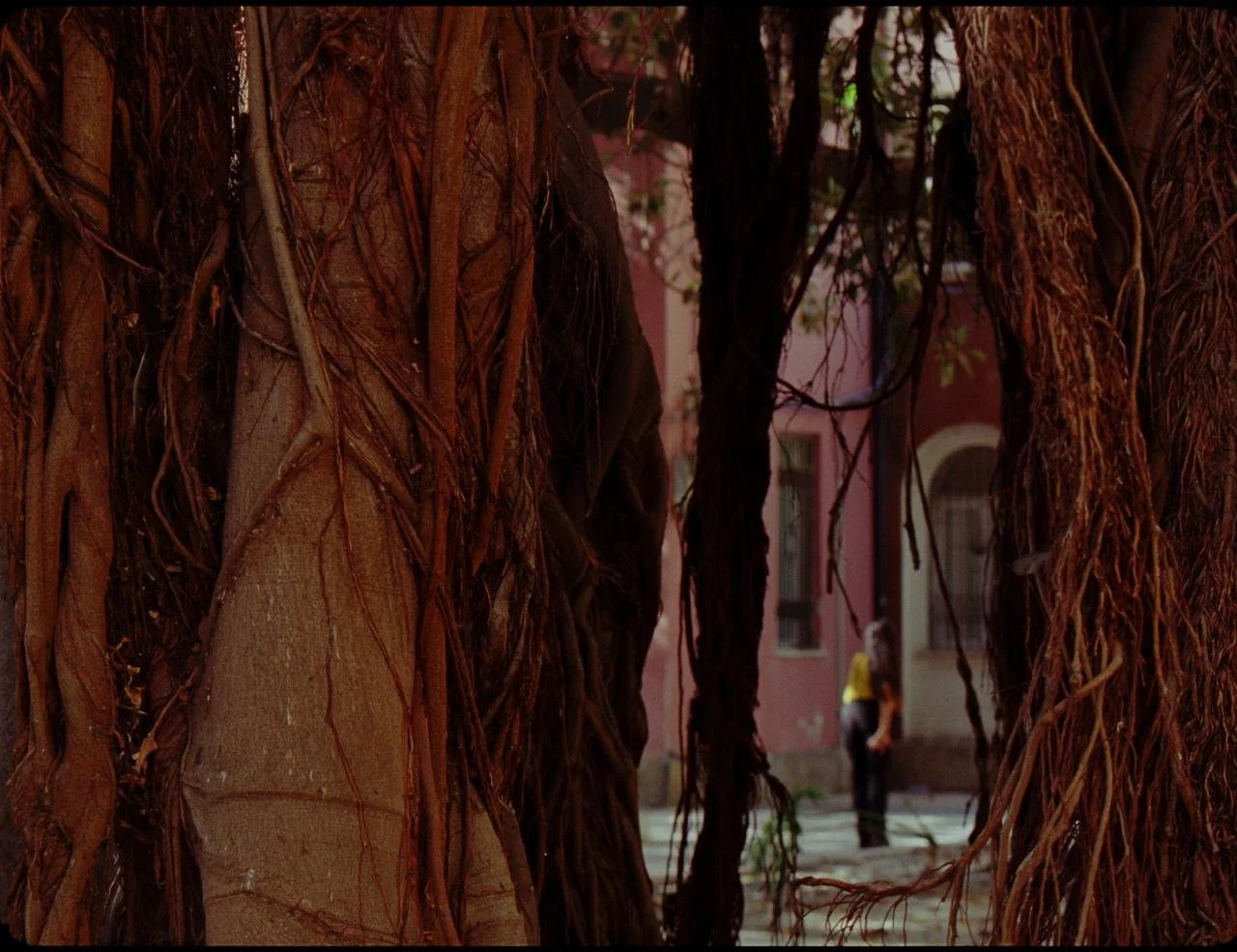 WhatsApp Image 2026-02-25 at 00.50.46 (2).jpeg