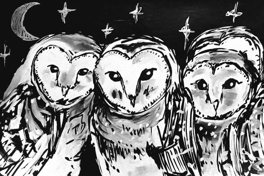 A Huddle of Infant Owls (ink on paper 2025)