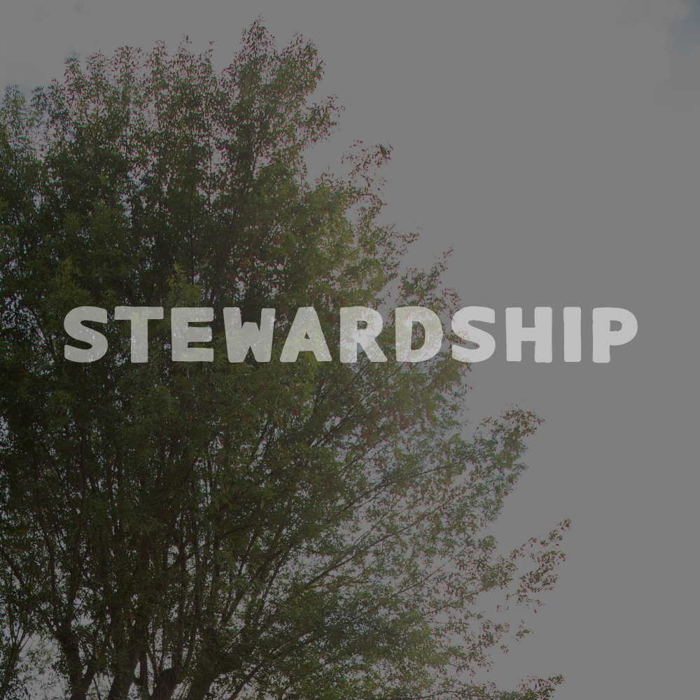 Our process is an act of care. We are stewards of nature, utilizing sustainable strategies and responsible materials. We are stewards of the human spirit, respecting design principles that support health and comfort. By designing in response to the l