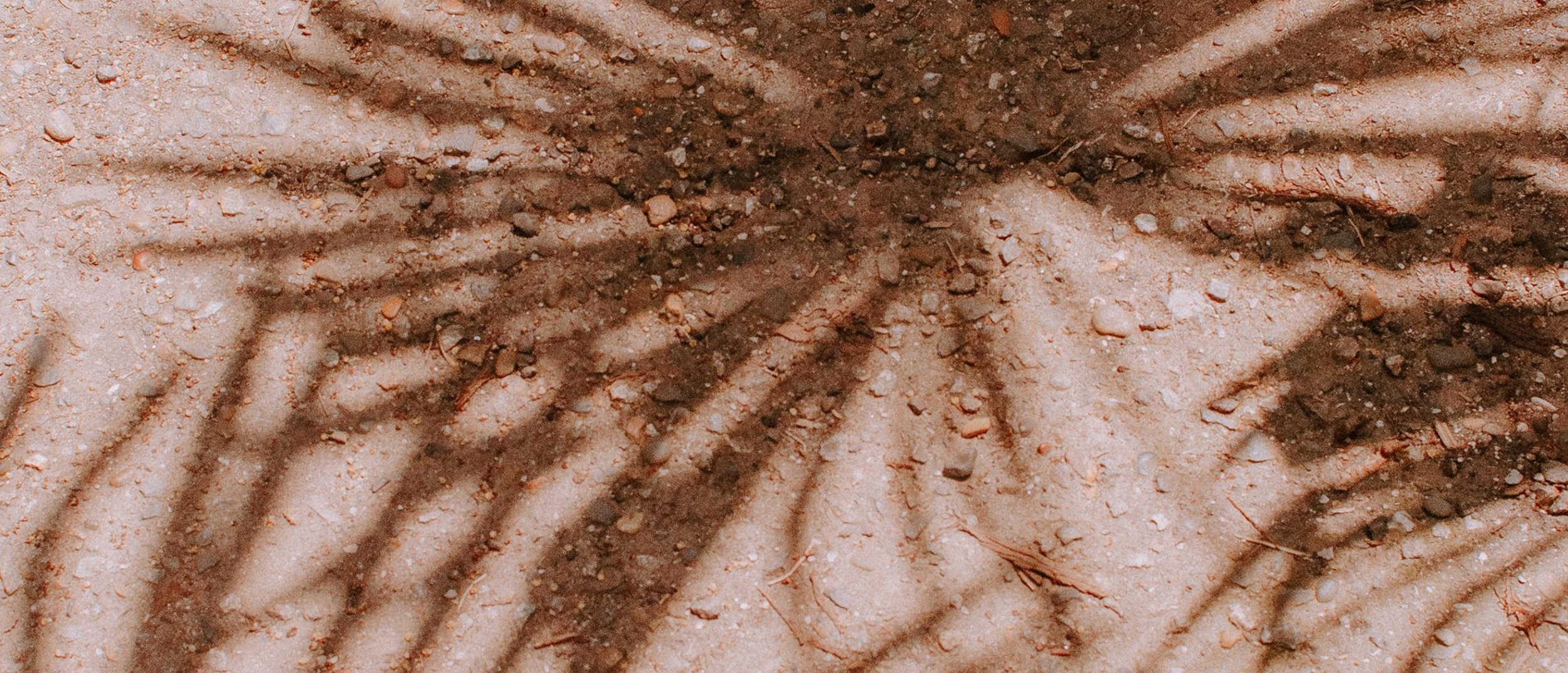 Close-up of tire tracks in light brown, slightly reddish dirt ground with small pebbles and debris.