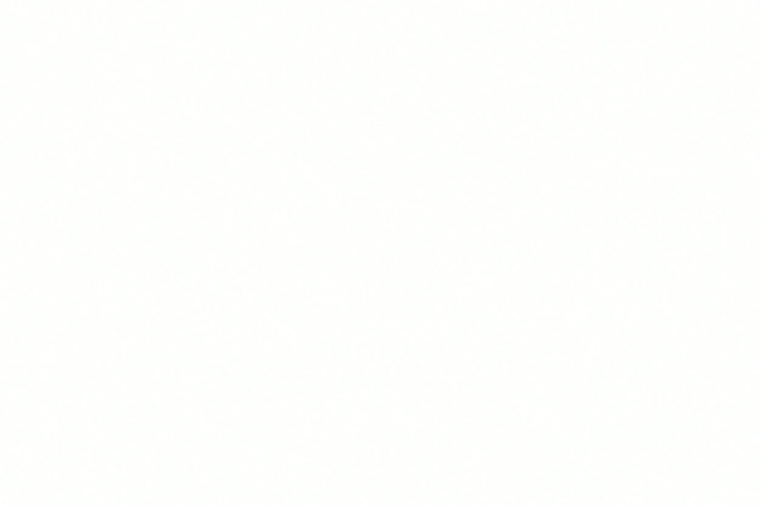 Empty white sheet of paper.