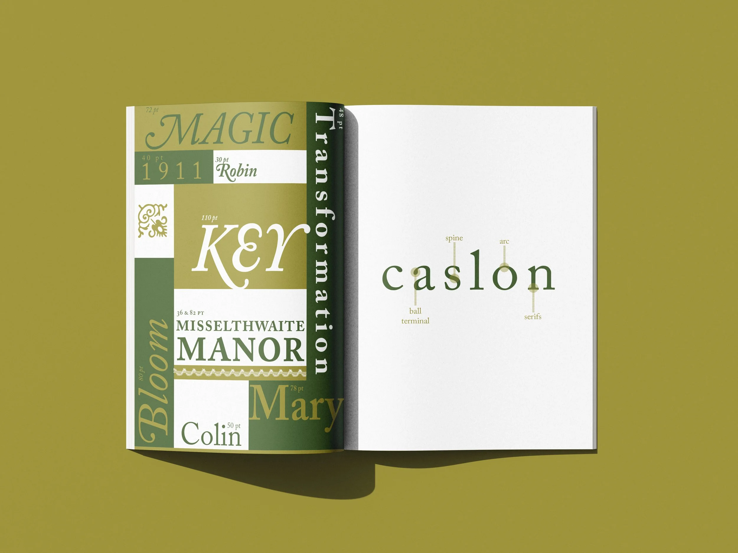 Type Specimen Book