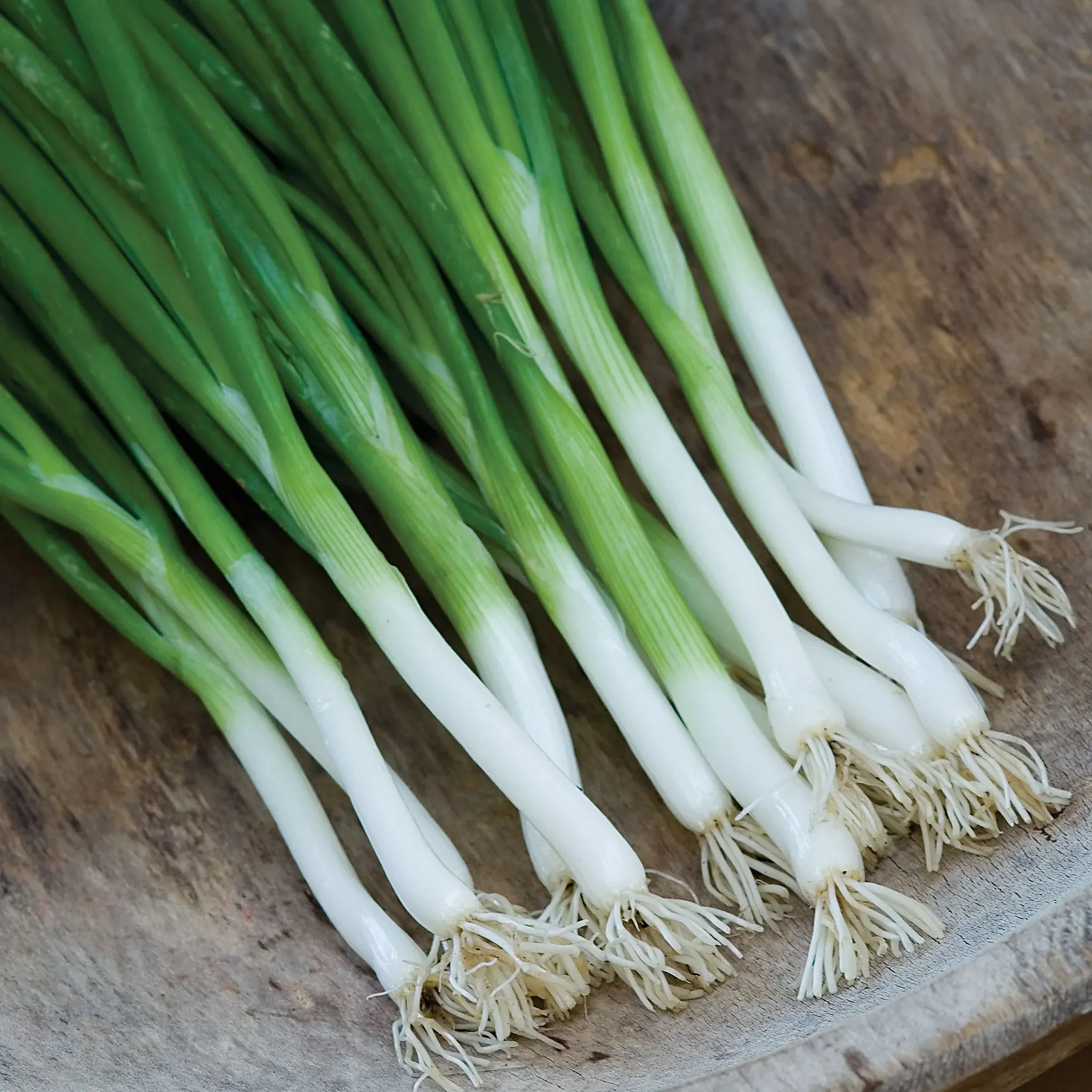Parade Bunching Onions