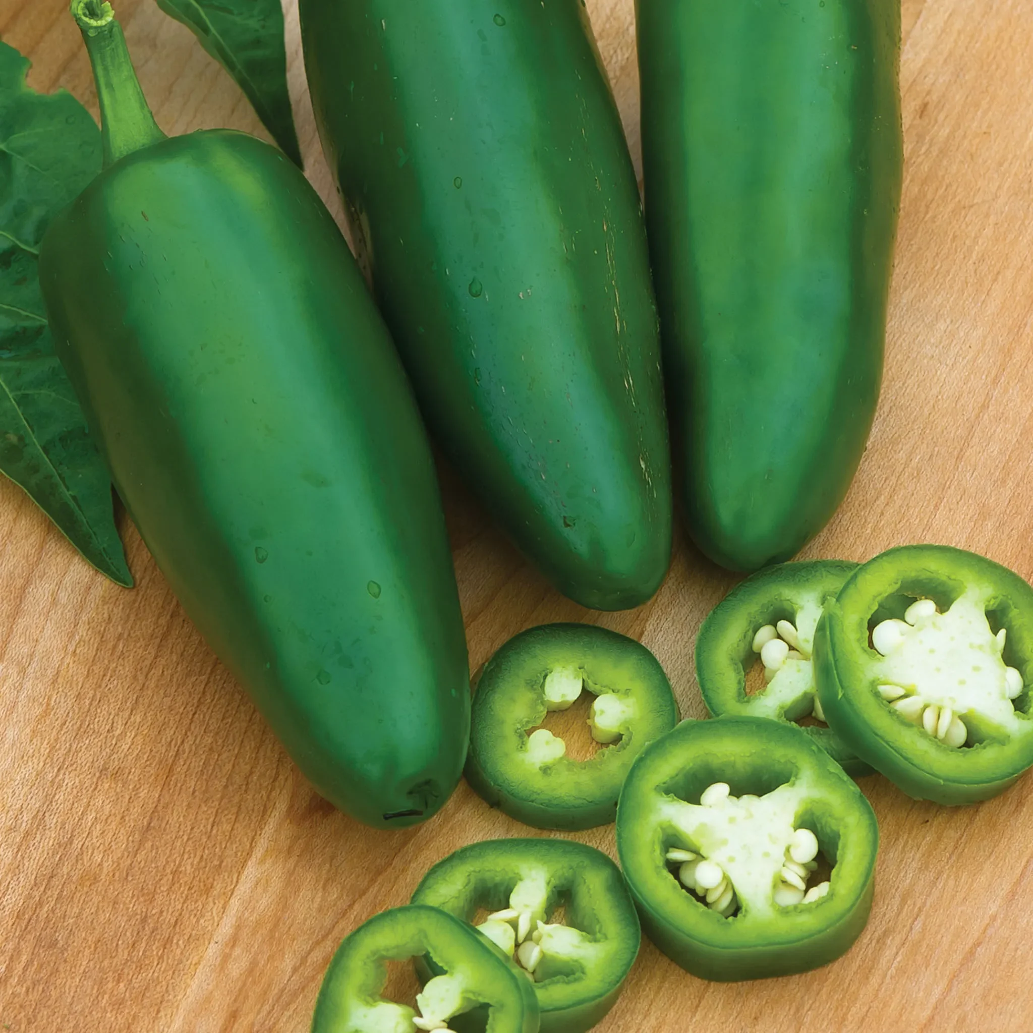 Big Guy Hot Jalapeno Pepper