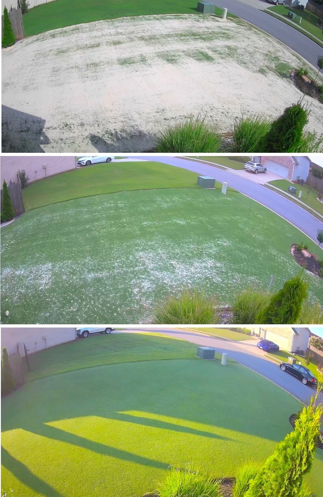 sand leveling lawn leveling bermudagrass