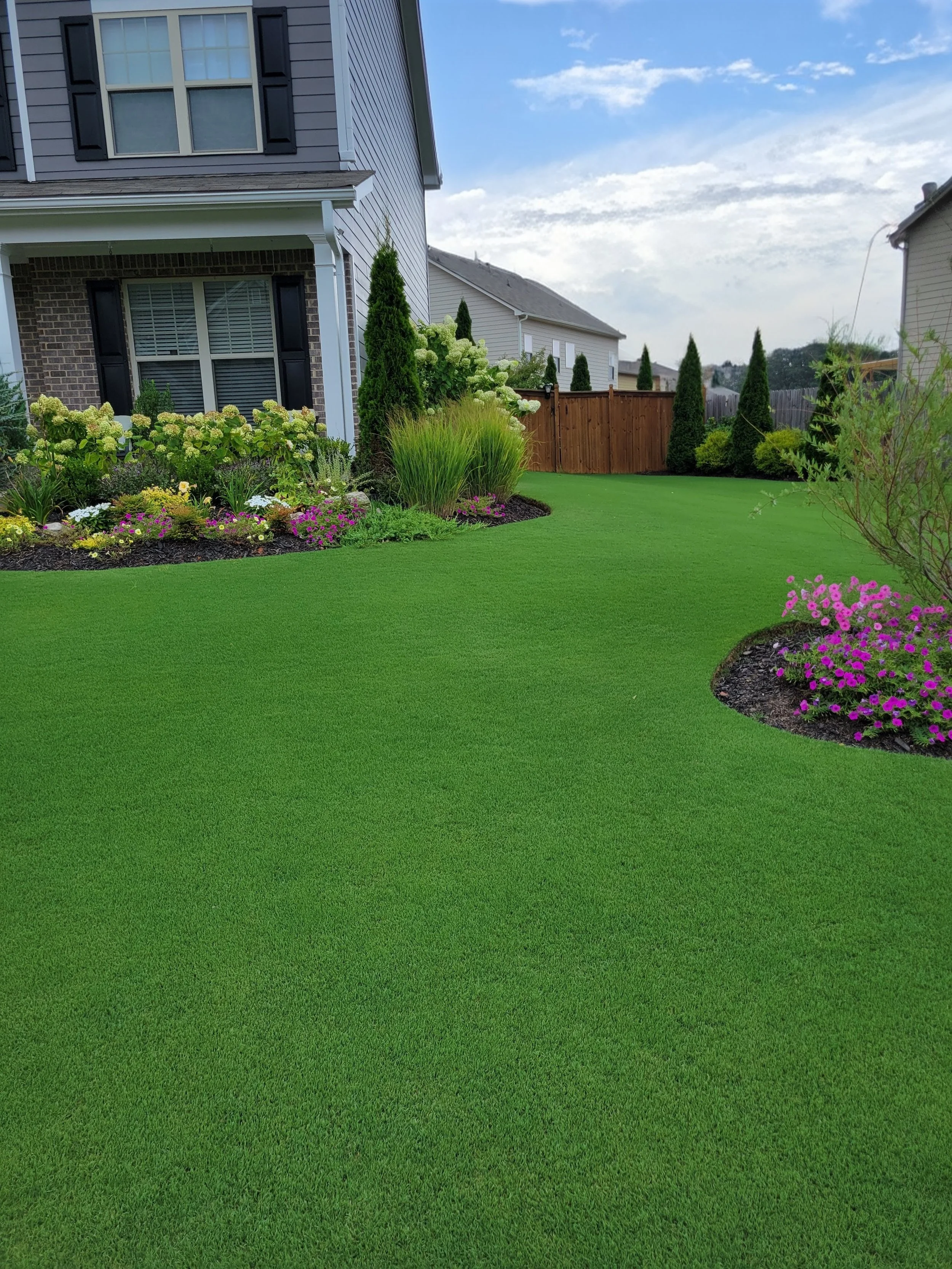 perfect bermudagrass lawn
