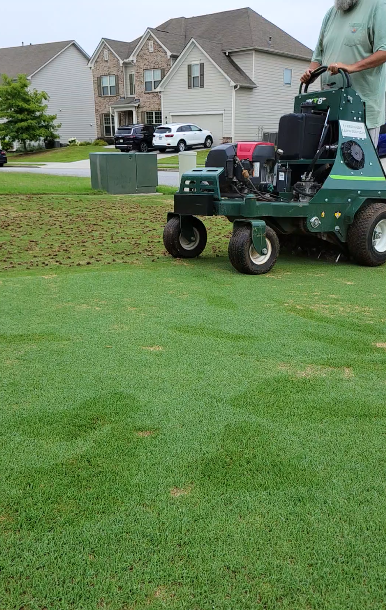 Core Aeration