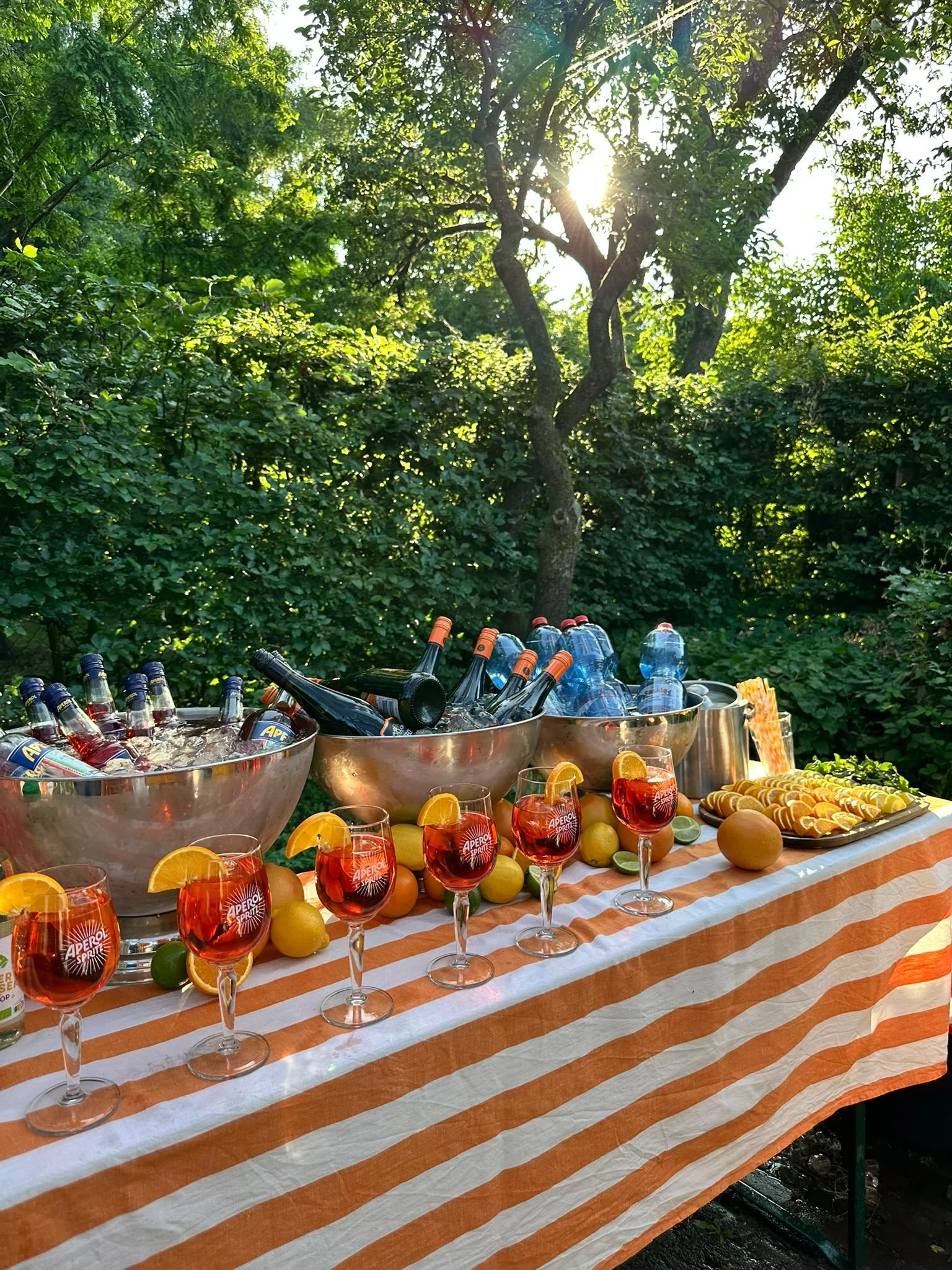 9c712431-376c-47f3-9887-acdfa6a5c094 2.JPG