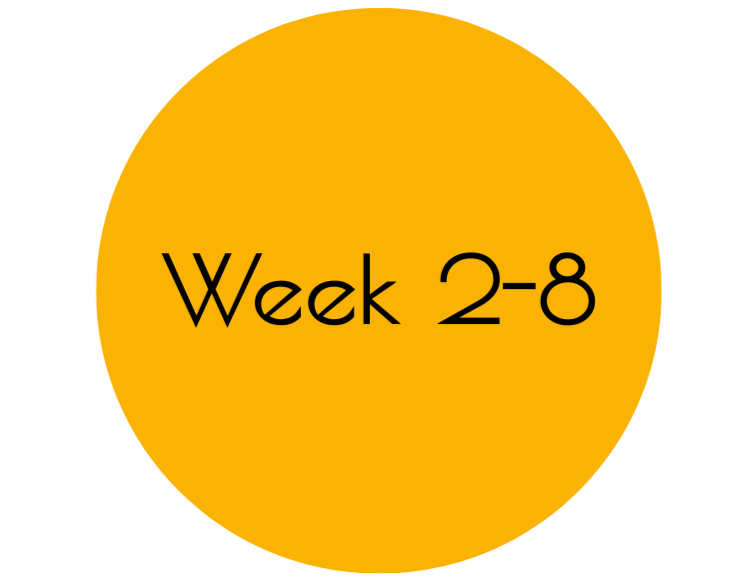 Geometric drawing of an outline square with sections divided by vertical, horizontal, and half circle lines.