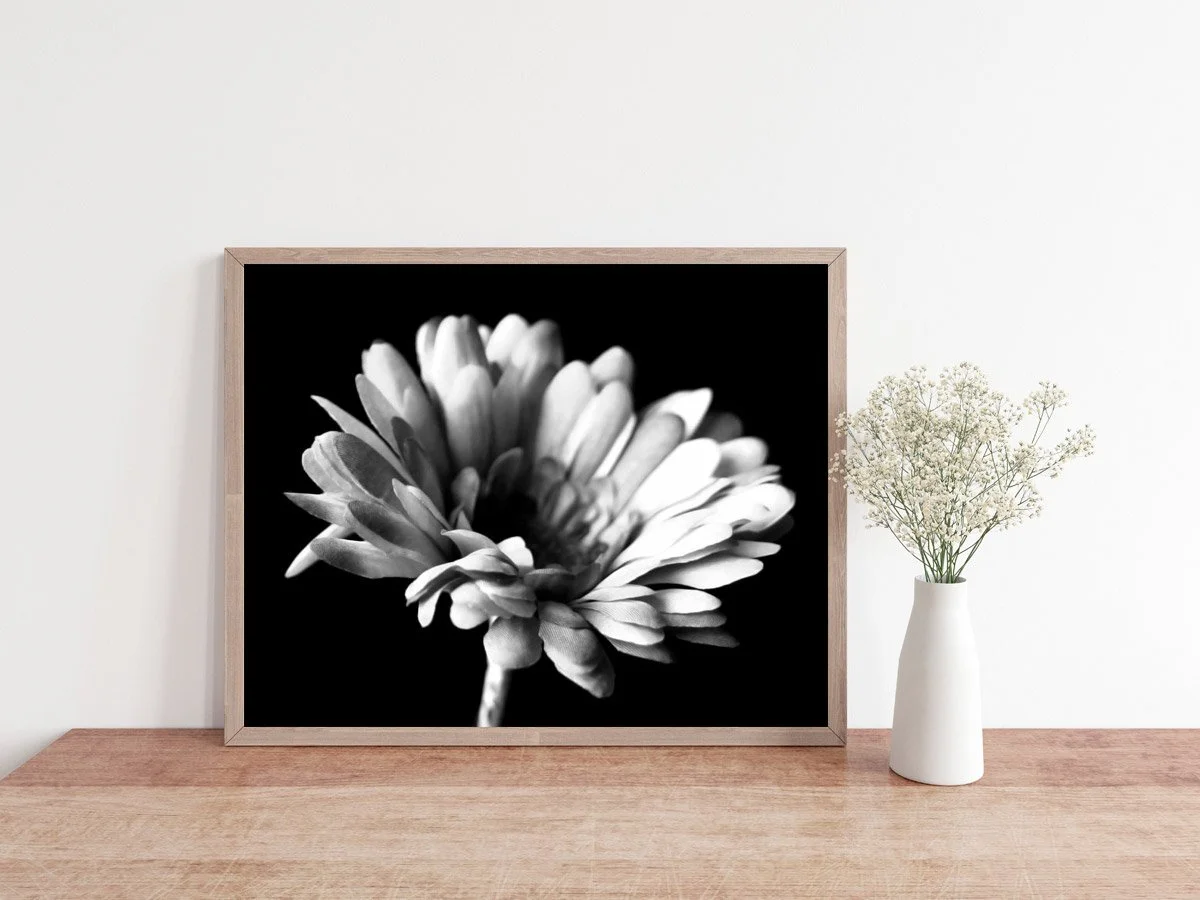 Floral Explosion - Printable Wall Art
