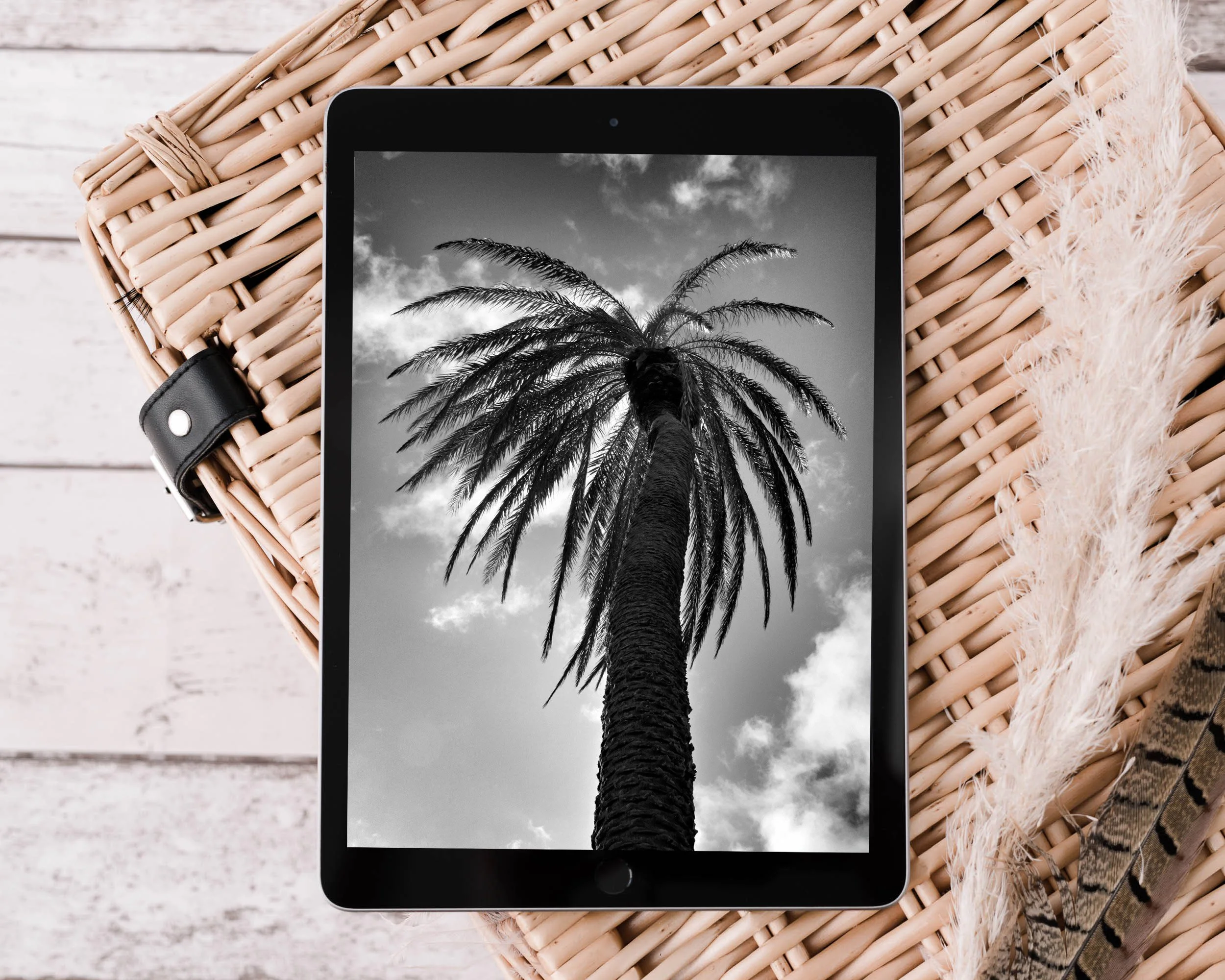 Caribbean Palm Tree - iPad Wallpaper