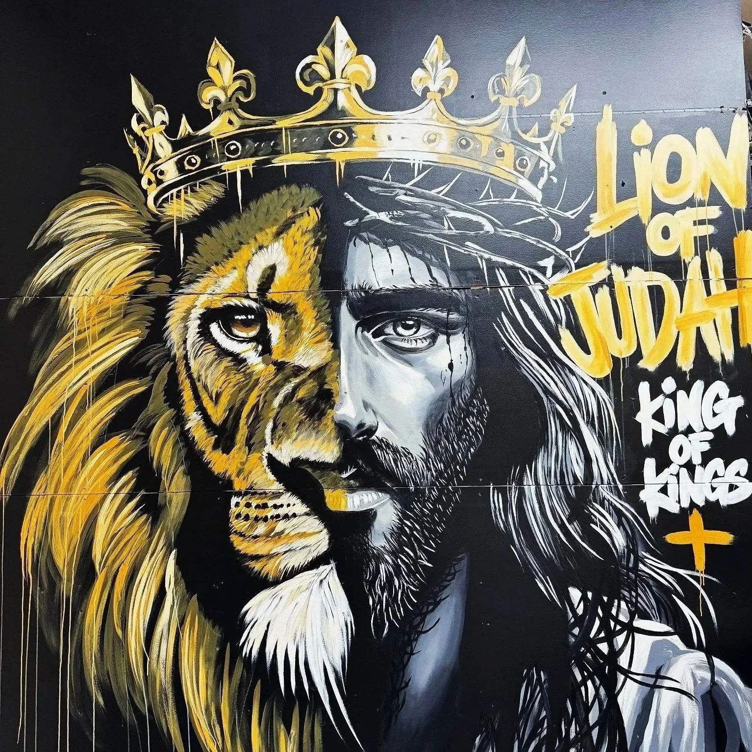 lionm.jpg
